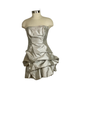 Silver Mini Dress